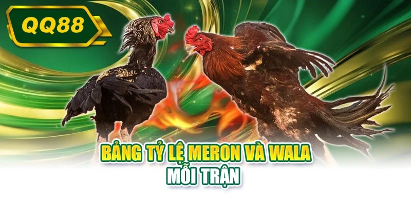 Bảng tỷ lệ Meron và Wala mỗi trận 
